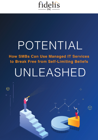 LD-Fidelis-Potential-How-SMBsCanUse-ManagedITServices-eBook-Cover