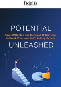 TY-Fidelis-Potential-How-SMBsCanUse-ManagedITServices-eBook-Cover