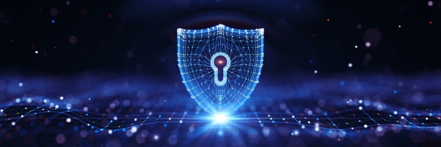 Network security: Essential components small business owners need to know